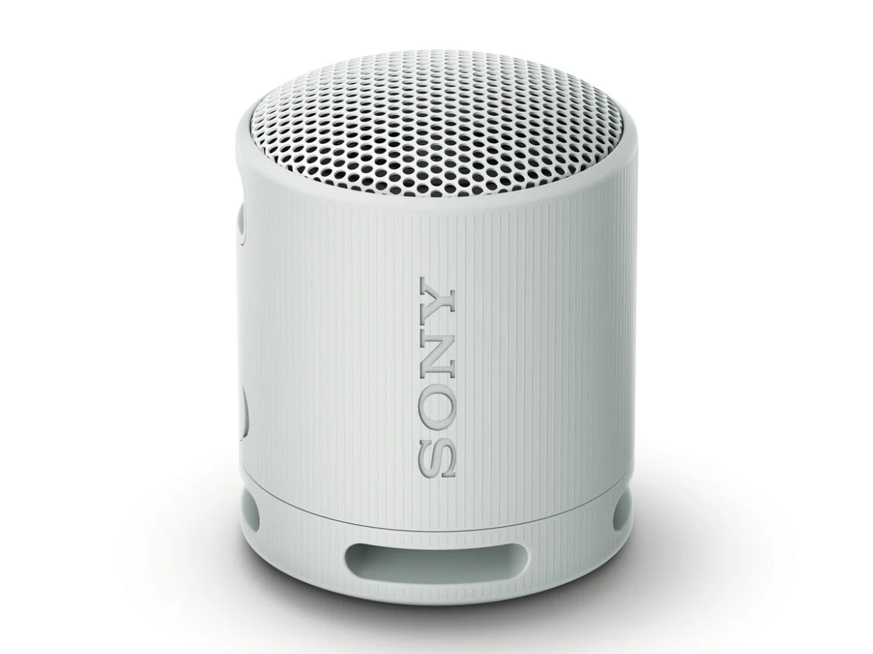 SONY SRS-XB100 (HC) ライトグレー